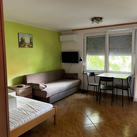 Tancsis Ueduelo 1/5 巴拉通雷勒